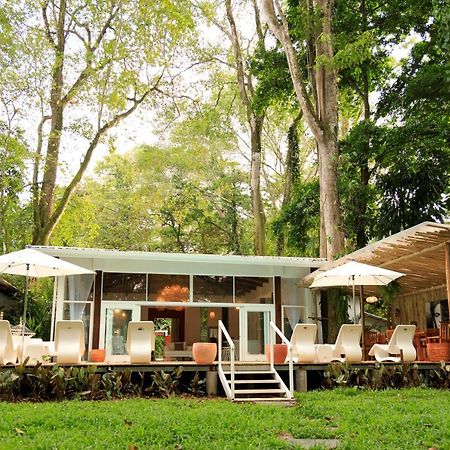 Gigi Brown Villa Frida Beachfront Puerto Viejo de Talamanca Dış mekan fotoğraf