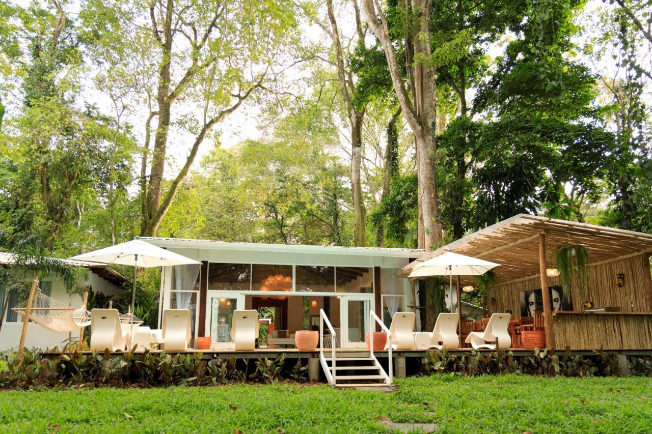 Gigi Brown Villa Frida Beachfront Puerto Viejo de Talamanca Dış mekan fotoğraf