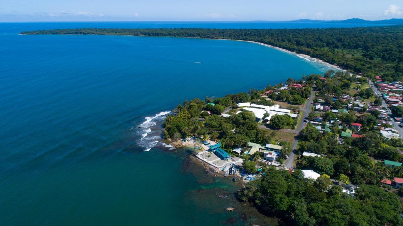 Gigi Brown Villa Frida Beachfront Puerto Viejo de Talamanca Dış mekan fotoğraf